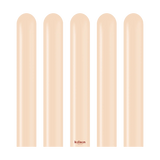 Kalisan Nozzle Up Standard Blush - 160 Modelling 1"/60" 50 pieces Kalisan
