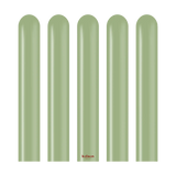 Kalisan Nozzle Up Retro Eucalyptus - 360 Modelling 3"/60", 50 Pieces Kalisan