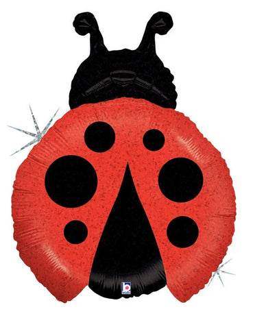 19" Happy Ladybug