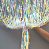 3'.2" x 6'.4"(1*2m) Foil Door Curtain, Packaged- Backdrop - A. L. Party Balloons