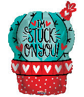 18" PR I'M Stuck On You Cactus - Single Pack